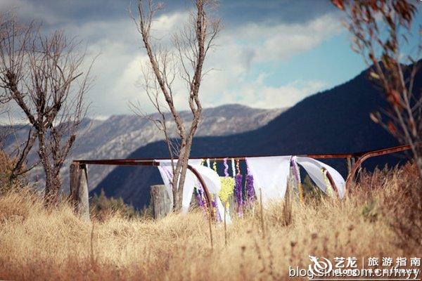 野外又黄又爽A片视频浜，高清无码激情大片，野外真实拍摄，极致诱惑体验