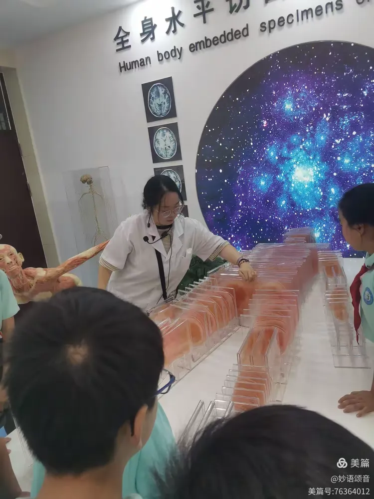 肥女做爱技巧分享，提升愉悦体验，探索身体奥秘