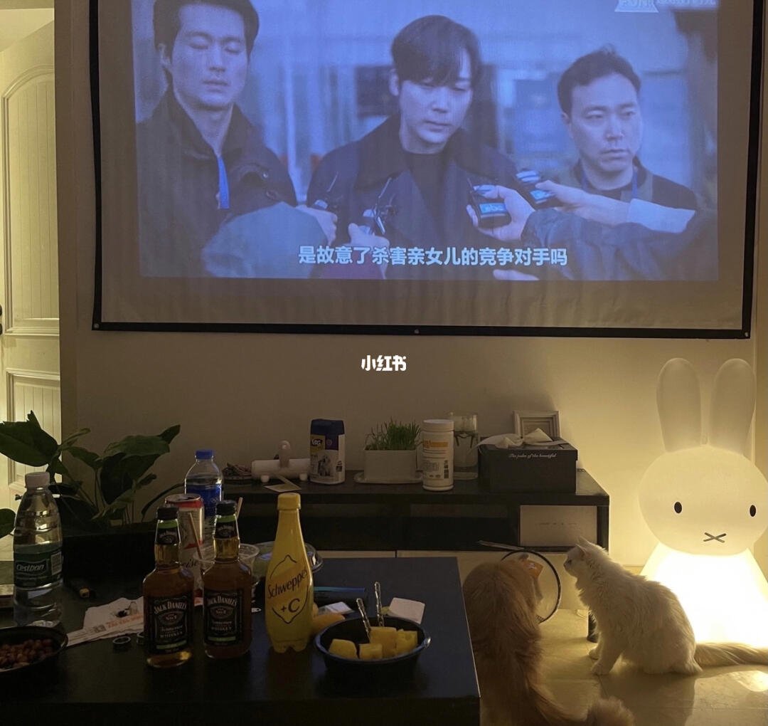 午夜精品一区在线免费观看高清资源，畅享独家影片，深夜追剧首选