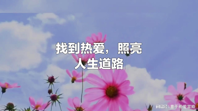 大黑人传奇故事 坚韧不拔 奋斗不息 成就非凡人生