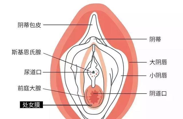 1.10～13岁女孩处女膜破裂毛片真相