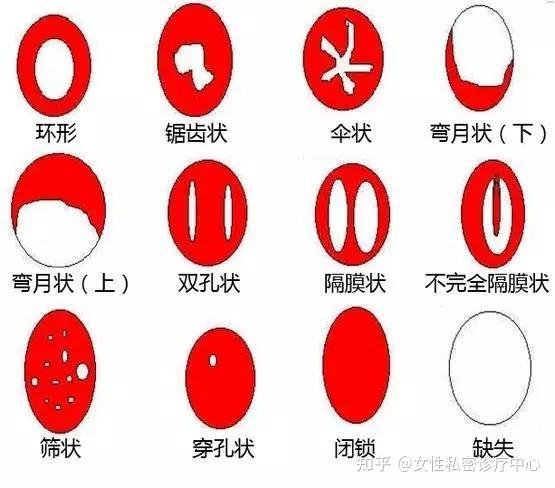 破處女苞一级A片浜震撼上线，全网独家高清资源，极致体验不容错过