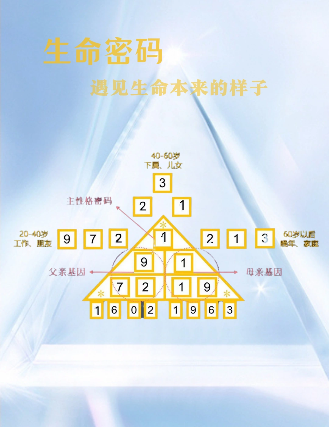 动物交配动物繁衍行为与生存策略的奥秘，探索自然法则，揭示生命密码
