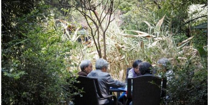1.老太老头树林做爱视频引发热议