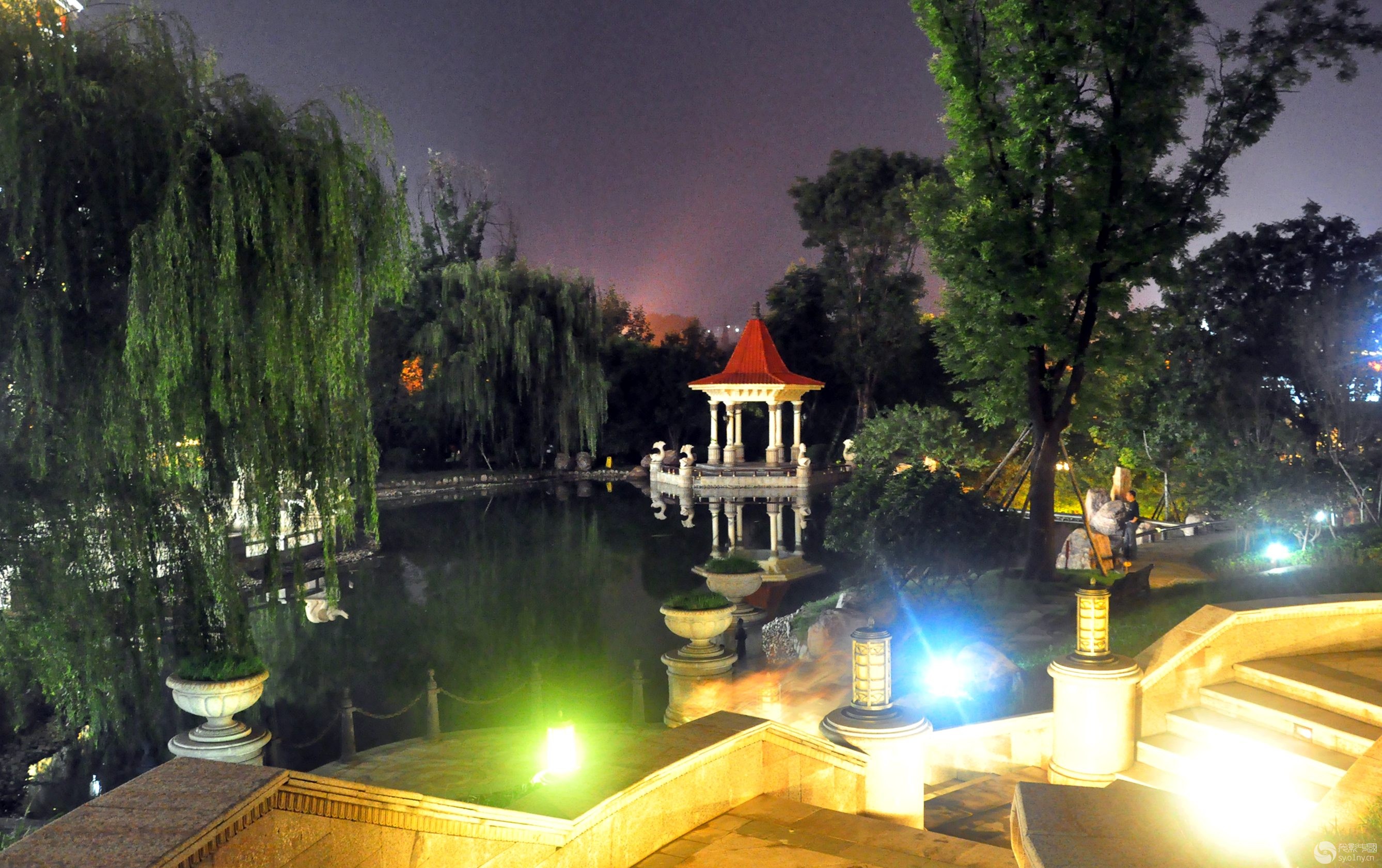 欧美丁香午夜色撩人沉醉迷人芬芳，浪漫花园夜景如诗如画，月光下的花香与静谧交织