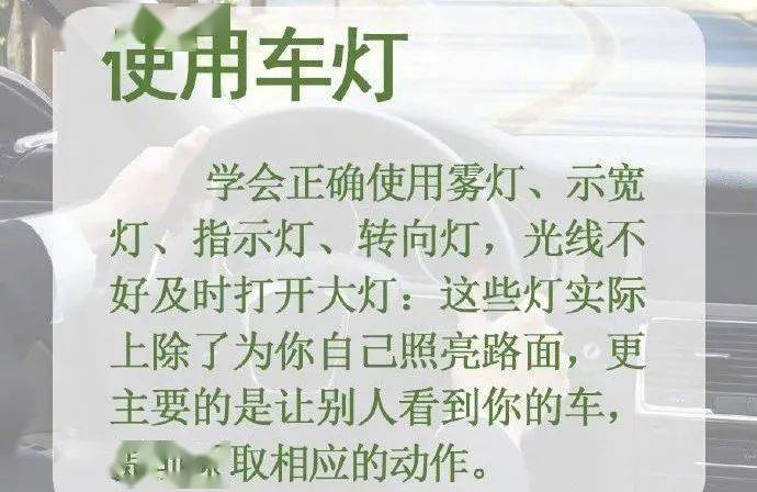 茶茶底tklvk浜的冲泡技巧与保存方法，茶香四溢，口感醇厚，新手必学