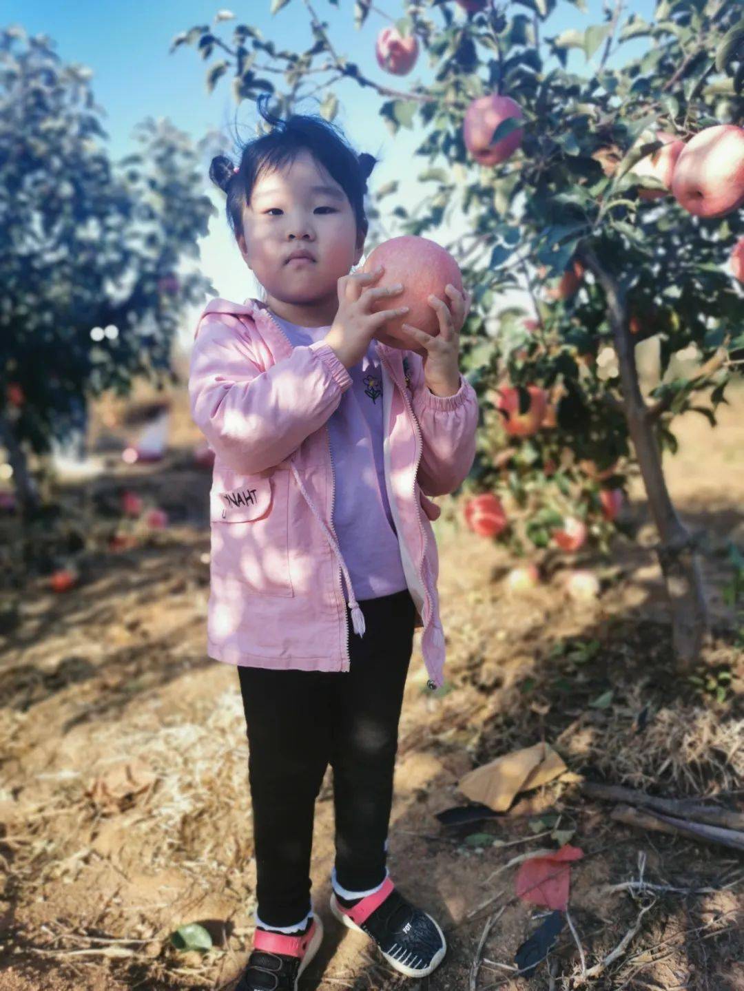 深爱五月最新绽放浪漫时光，温暖初夏记忆，拥抱幸福季节