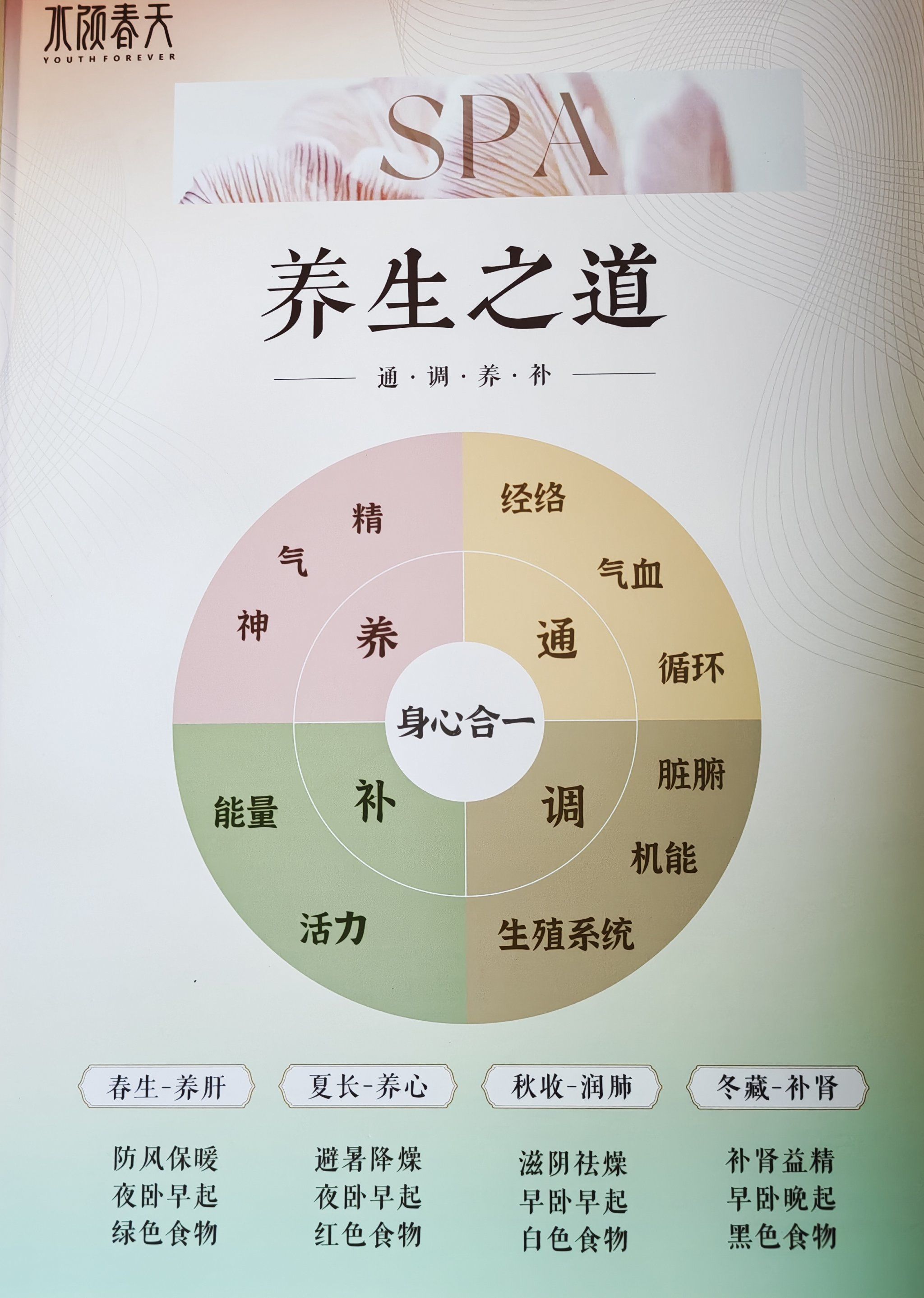农村老太奶性HC大全揭秘，探索传统乡村生活，分享独特养生智慧