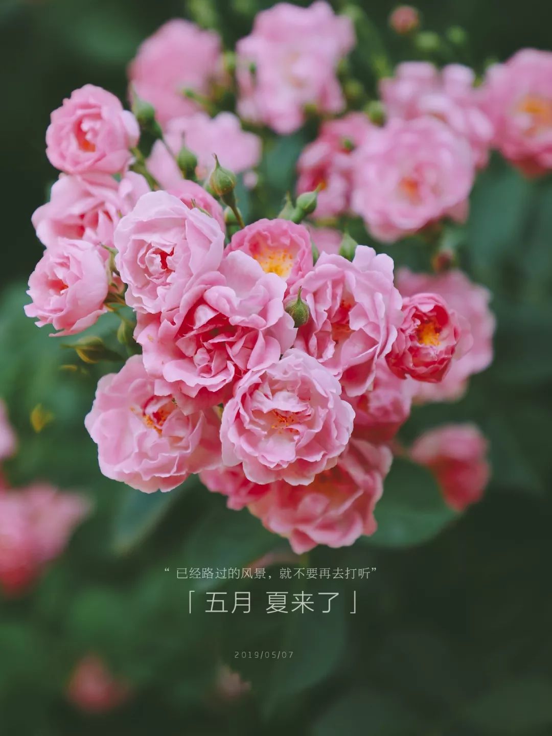 噜噜吧噜噜色五月