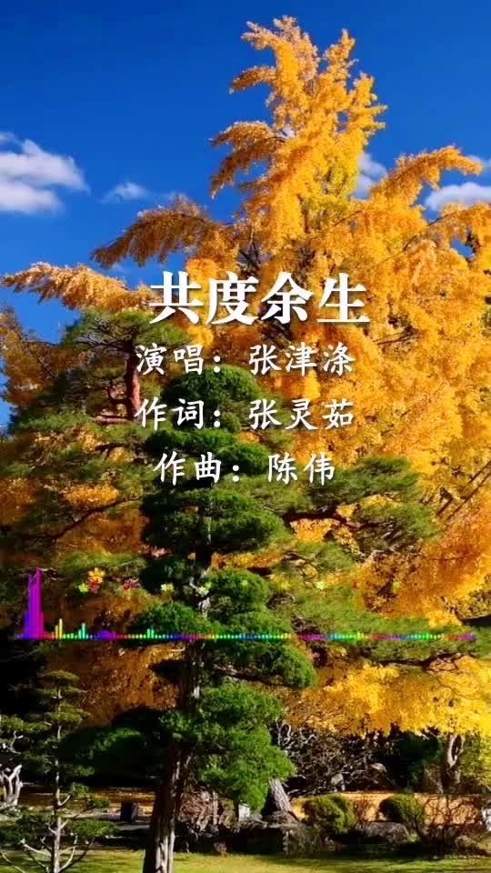 孤独老头男同志的爱情故事，晚年相遇，温暖相伴，共度余生