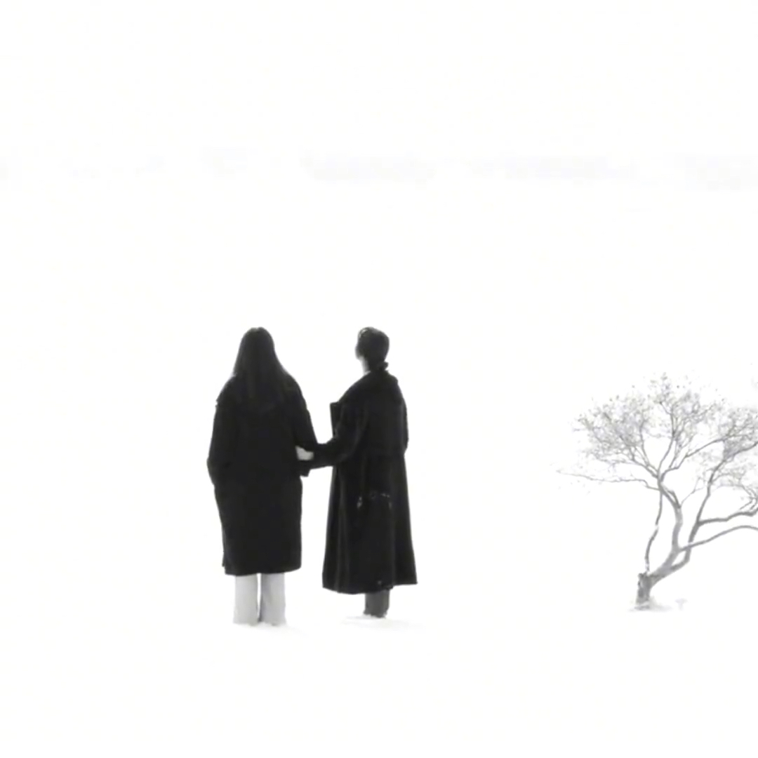 伊人久久狠狠倾心绝恋，红尘缱绻不负深情，此生唯愿与你共白头