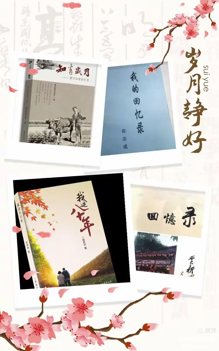 东北老太一区二区生活趣事，邻里温情，岁月静好回忆录