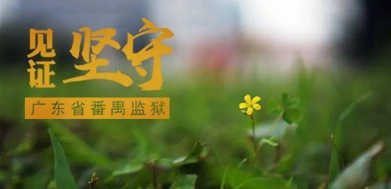 小志胡秀英第一章的乡村爱情故事，见证纯真与坚守，感受岁月里的温暖与感动