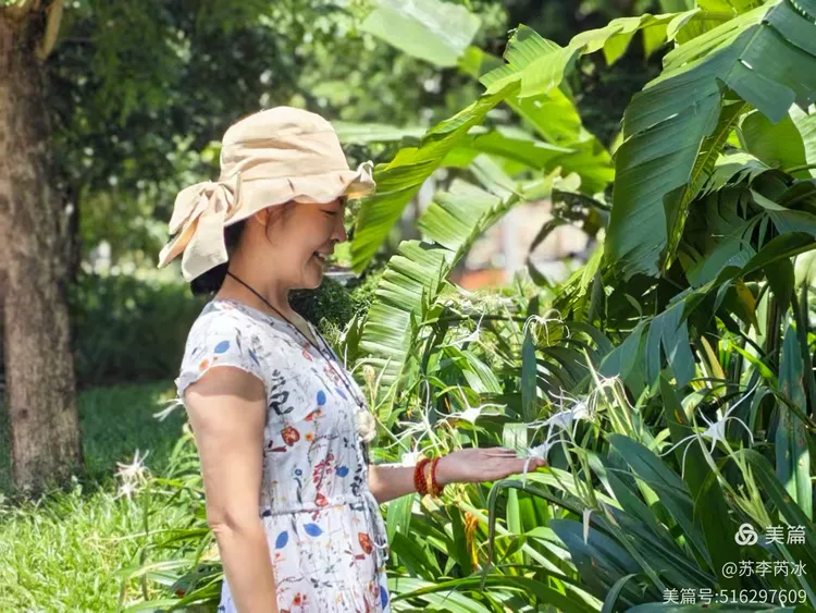 青青草久久见证岁月静好，品味自然芬芳，共享悠闲时光