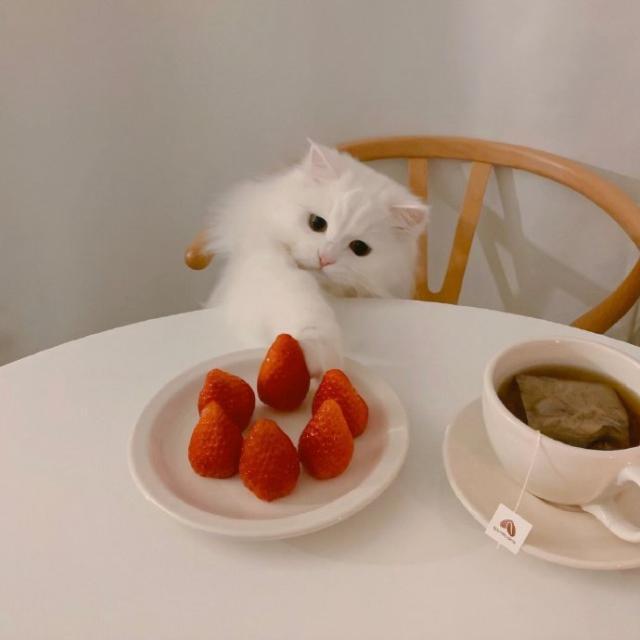 久久深夜视频精彩片段合集，放松心情必备，享受独处时光