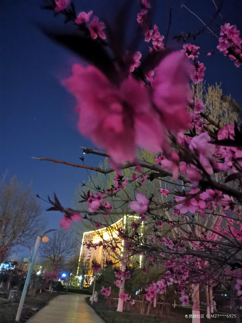 1.夜夜春色撩人醉梦缠绵不休