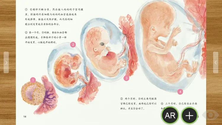 2.AV孕妇天堂,孕育新生命的美好世界,温馨呵护每一天 2.AV孕妇天堂,孕育新生命的美好世界,温馨呵护每一天