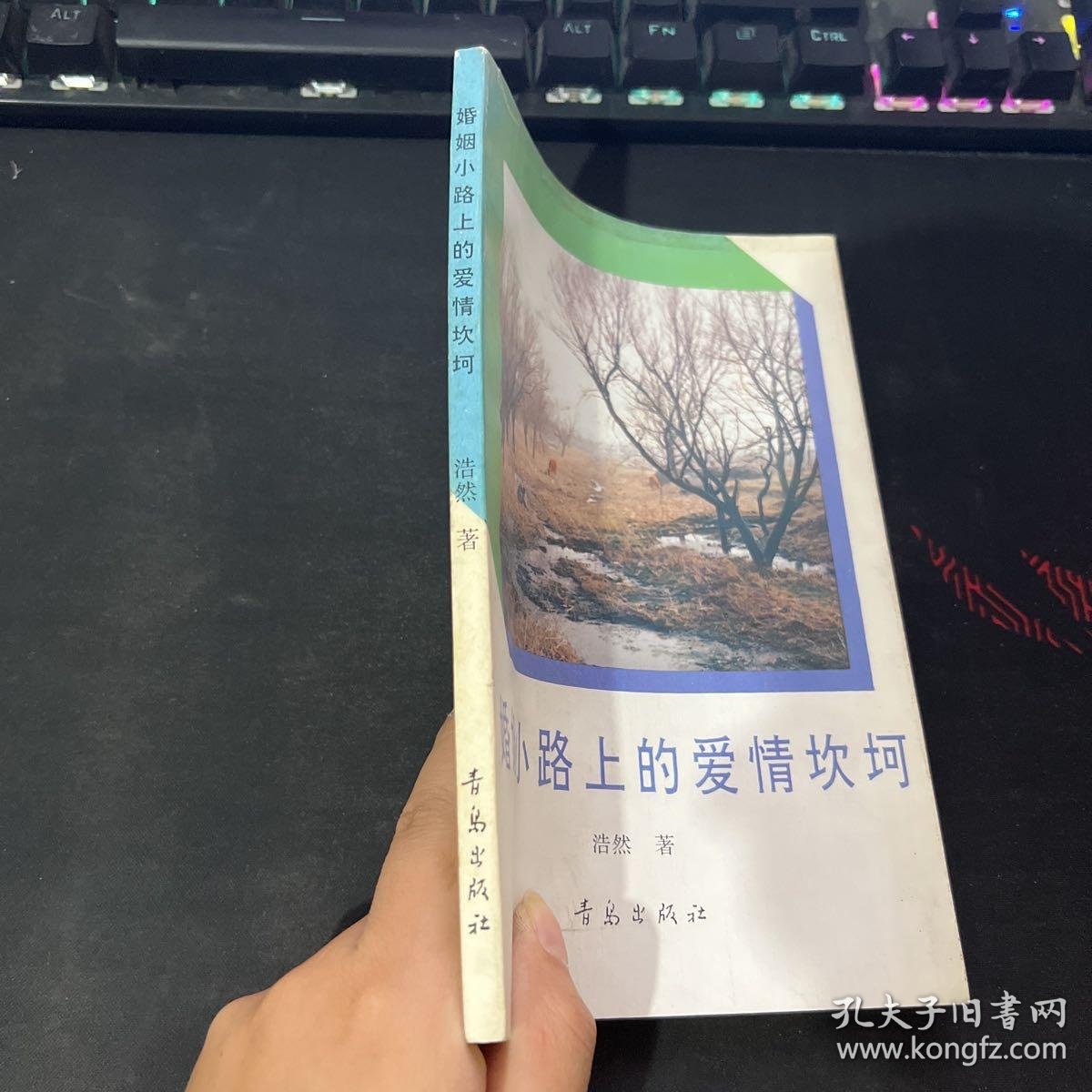 欧美老妇BBBBBB浜传奇人生 坎坷爱情 动人故事 岁月留痕 永恒回忆