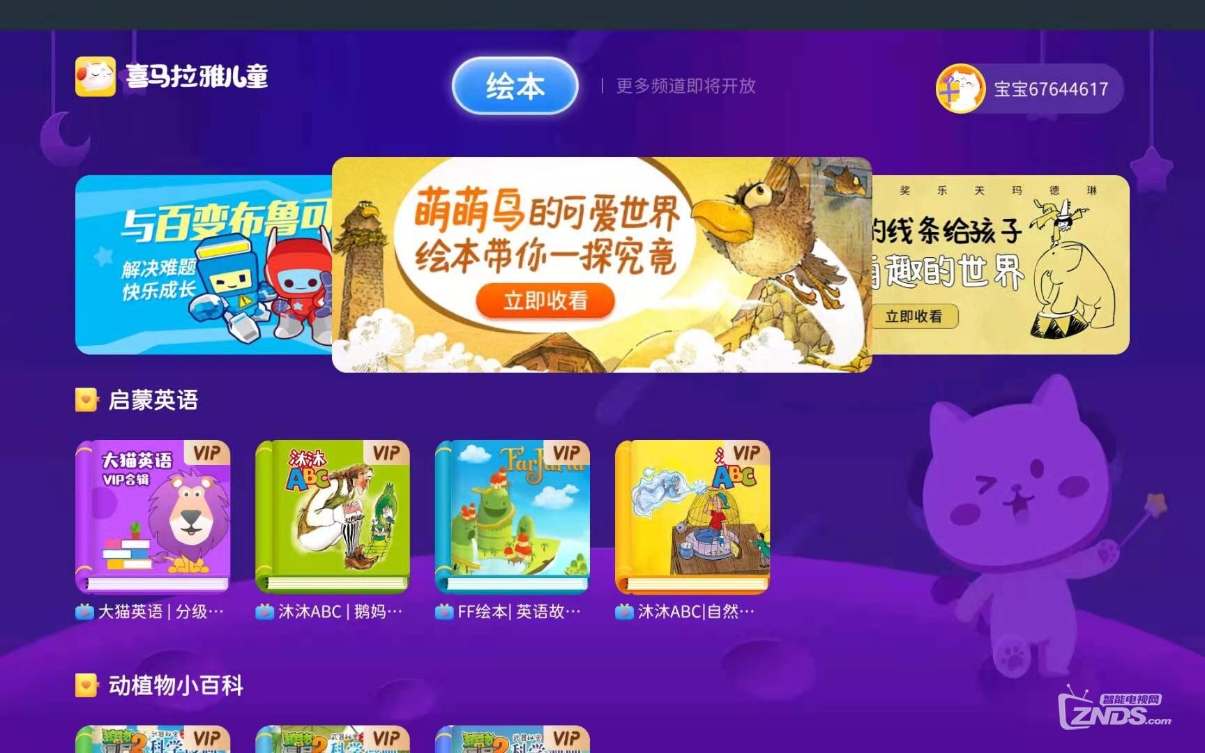 1769手机免费视频在线观看高清大片，畅享海量资源，最新影视一网打尽