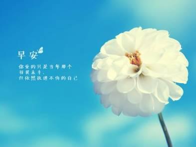 四川少妇搡BBBB搡BBBB的日常生活与情感故事，揭秘她的真实经历，分享独特人生感悟