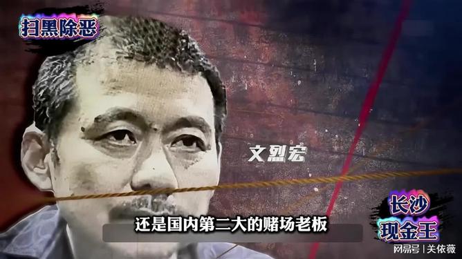 五月婷婷激情视频小说引发热议，探索情感世界，揭秘背后故事