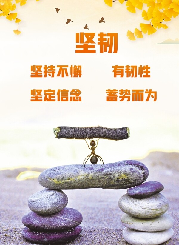 中国老妇的传奇人生，坚韧与智慧并存，展现时代女性的独特魅力