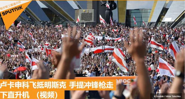2.成人网战硝烟四起，各方势力暗流涌动，谁能笑到最后