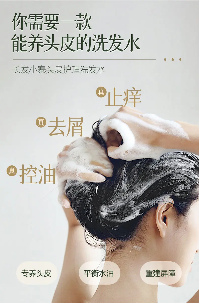 波斯浓毛大泬HD传奇故事，探索神秘波斯风情，浓密毛发养护秘笈