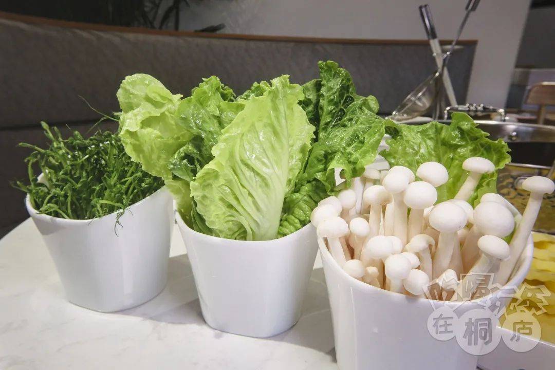蜜臀亚洲每日更新在线观看，精彩内容不容错过，每日新鲜呈现