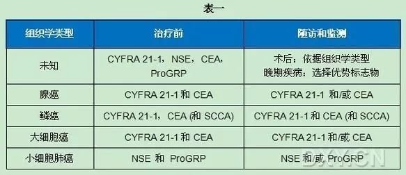 ThePorn浜揭秘成人内容分类，探索热门标签，了解最新趋势