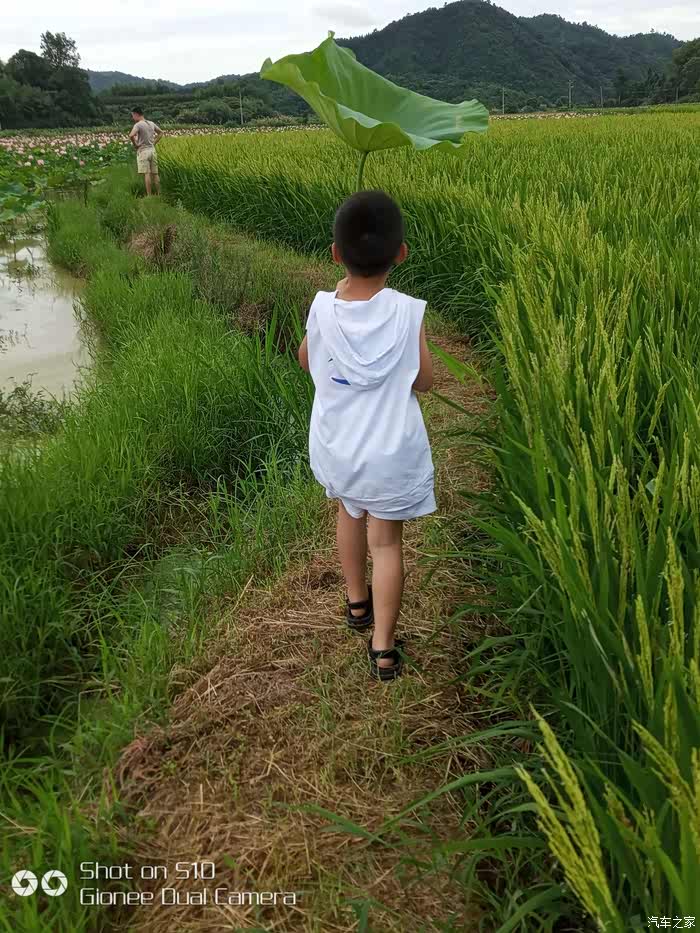 东北老太太的快乐生活，乡村趣事，传统美食与温馨回忆