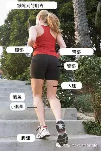 亚洲人妻美腿视频在线，免费观看高清资源，流畅播放无卡顿，独家内容每日更新