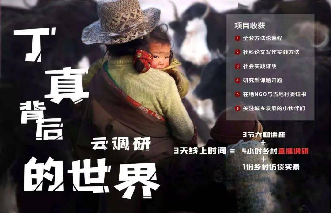 香港三级禁忌游戏揭秘，探索背后隐秘故事，揭露不为人知的电影内幕