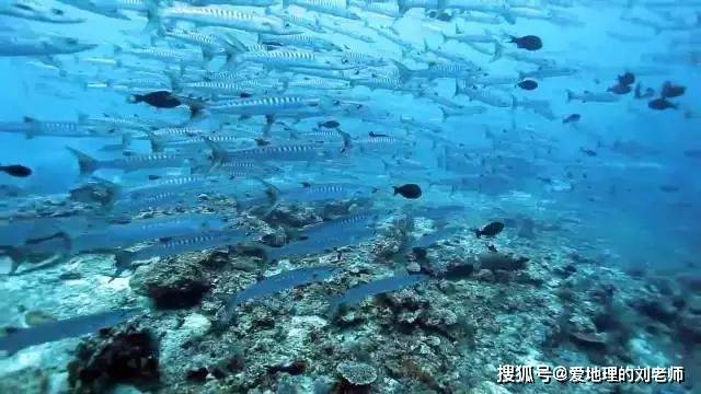 好吊看浜带你探索神秘水域的奇妙世界，发现隐藏美景，感受自然魅力