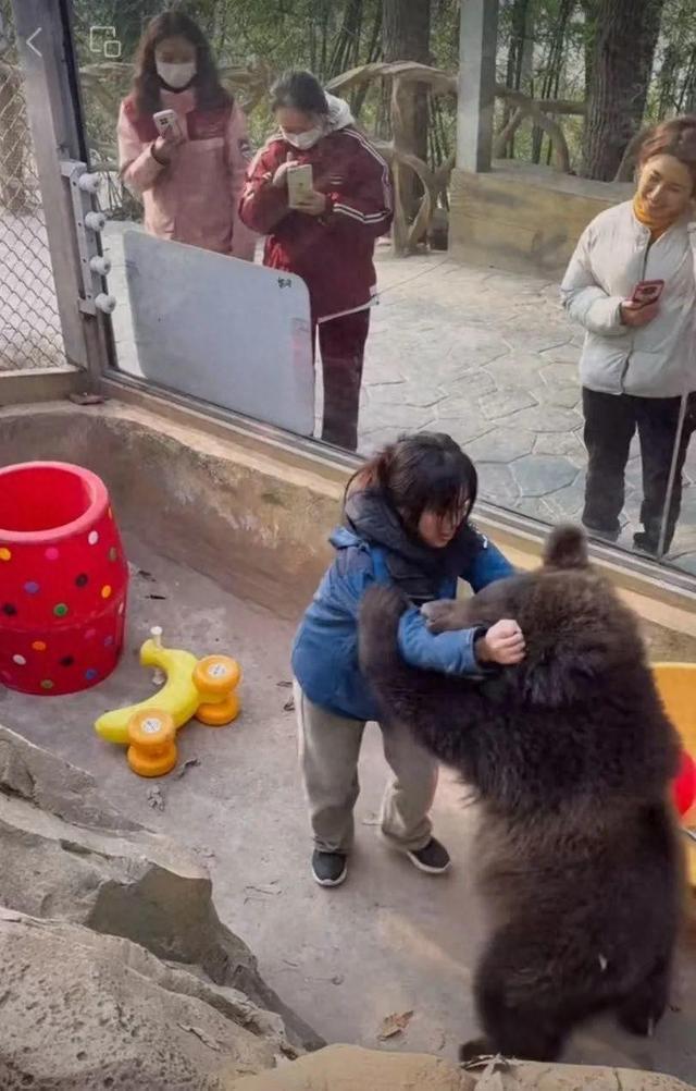 1.人与动物园动物做爱视频引发争议