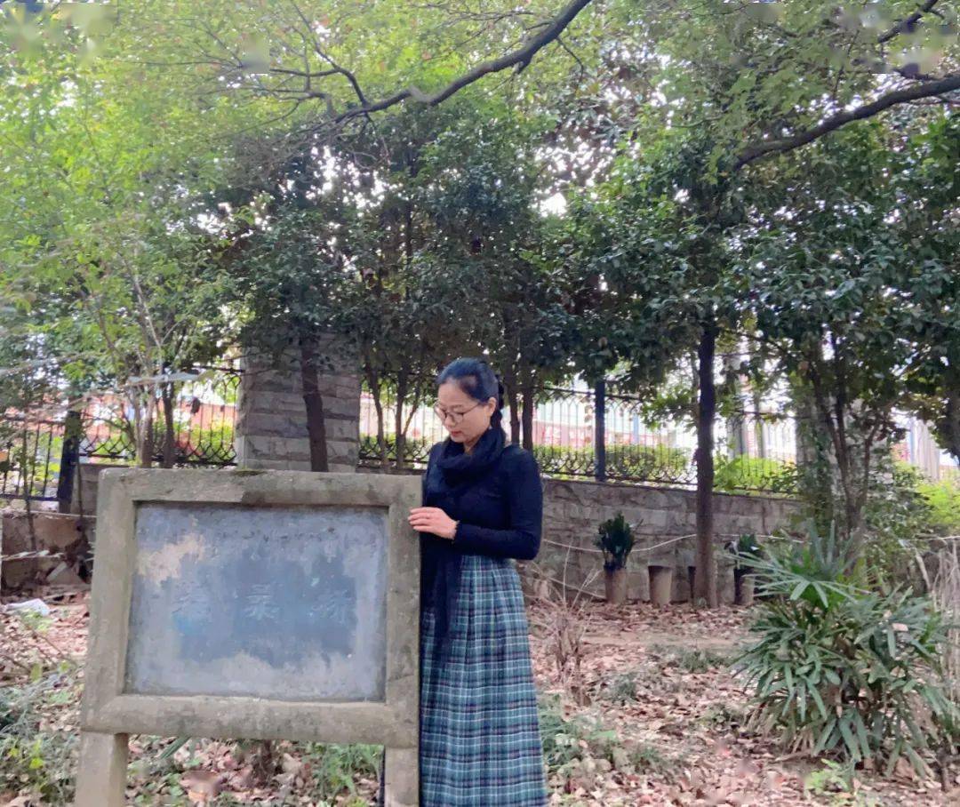 小志陈秋花四十浜的传奇故事，一段跨越时光的深情，见证乡村爱情的坚韧与美好