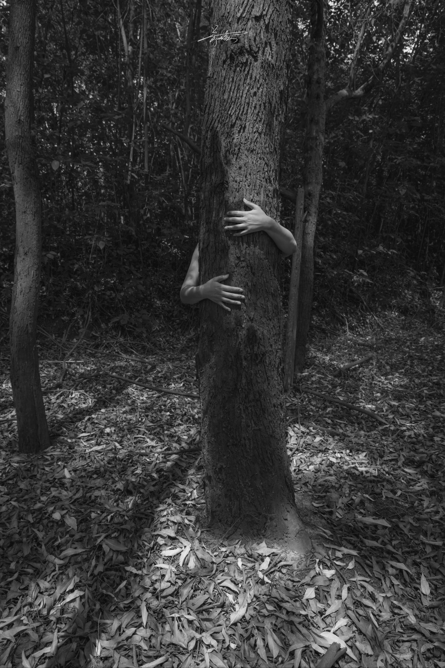 2.少妇二级淫妇的沉沦,挣扎,救赎之路