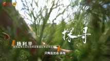青草社区精品推荐，探索自然健康生活，发现久久青草魅力