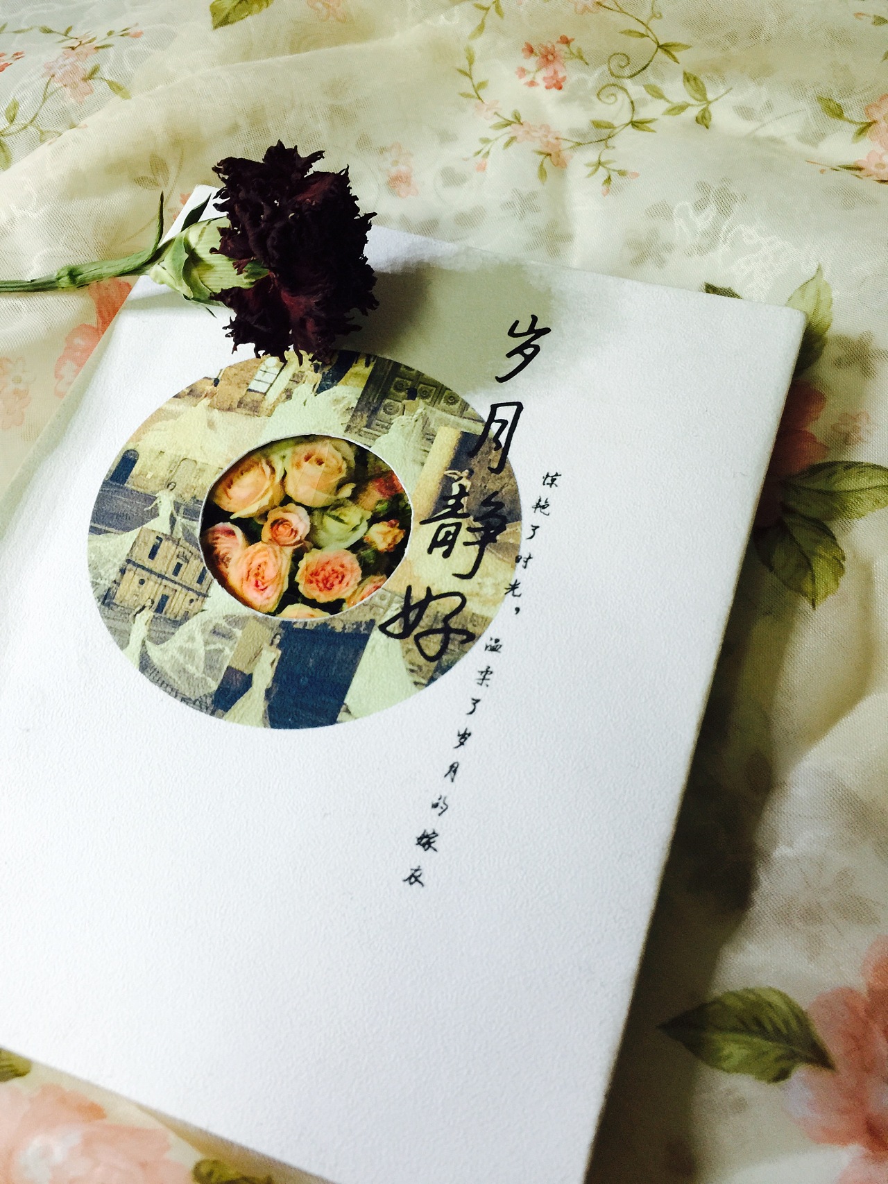 农村老头老太婆浜的田园生活，温馨日常，淳朴风情，岁月静好