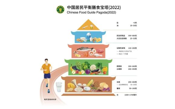 日本孕妇交孕期营养指南，健康饮食建议，胎儿发育关键期注意事项