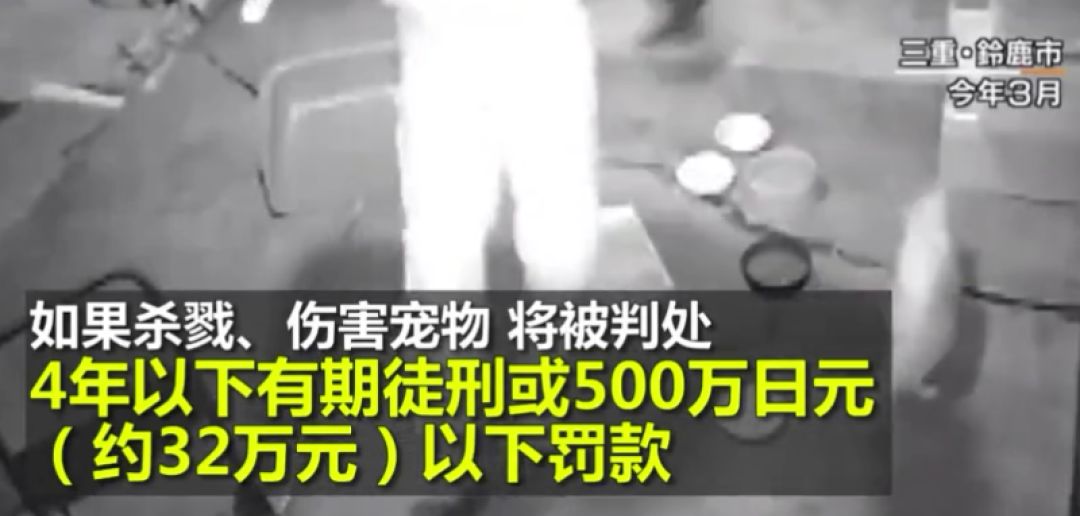 14日XXXXXXXXX19浜引发热议，探寻背后真相，揭秘事件全过程与深远影响