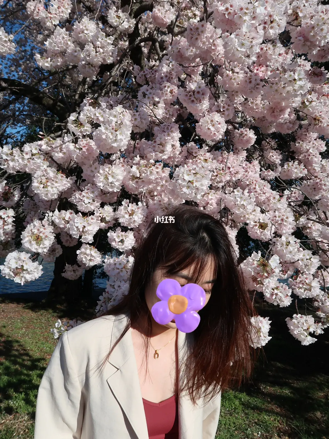 粉粉嫩嫩的18虎白女浜春日写真，少女感爆棚的樱花穿搭，甜系女孩必打卡的治愈系景点
