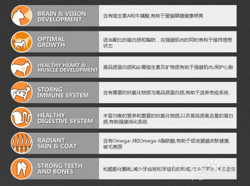 亚洲拳头崛起之路，探索其成功秘诀，揭秘背后的市场策略与品牌力量