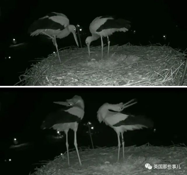 2.车上做爰吃奶全过程图片浜，探索私密空间情趣，解锁独特体验，分享真实瞬间