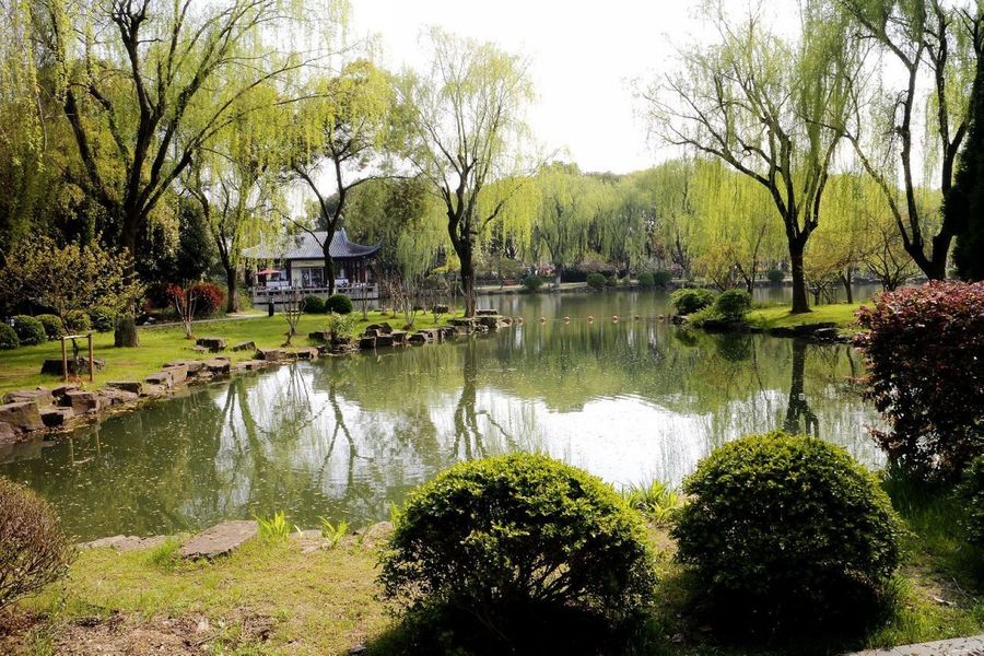 一区青青春意盎然，绿意满园风光好，踏青赏景正当时