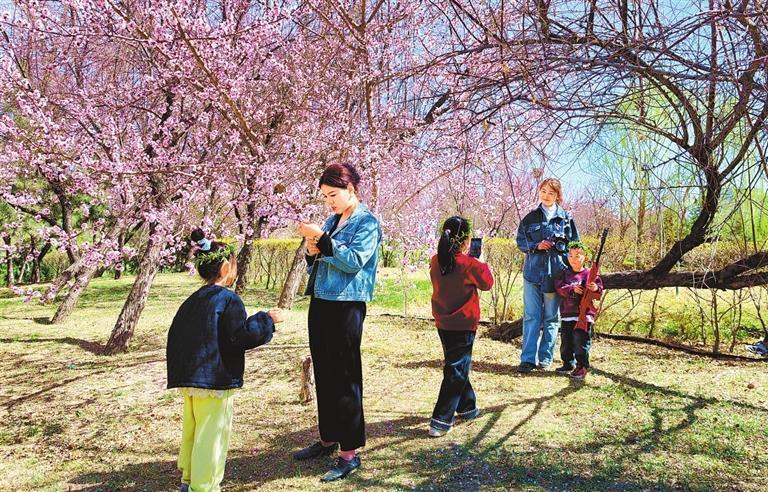 婷丁四月色妞妞春意盎然，花开满园，踏青赏景正当时