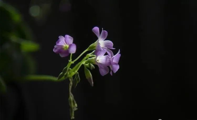 1.亚洲无码小草专区精彩内容推荐