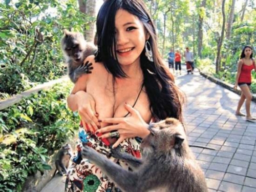 2.美女一级黄色片女人和动物交配引发争议，伦理边界模糊，社会舆论哗然