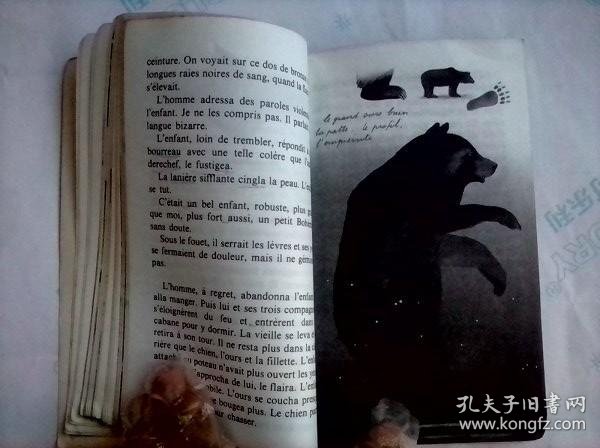色欲Va的致命诱惑，探索人性欲望深渊，揭秘原始本能与道德枷锁