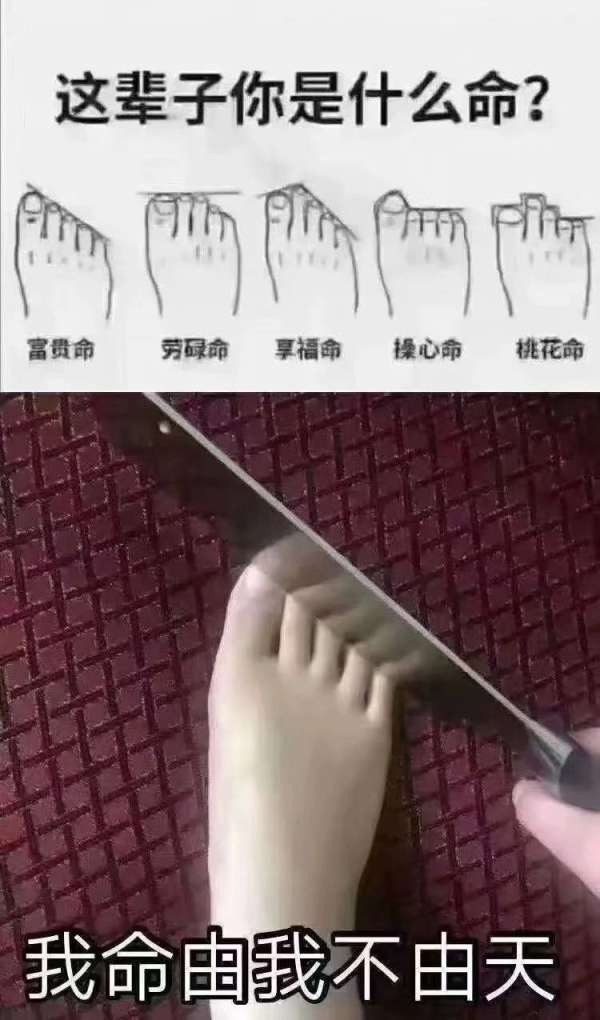2.脚操逼小说逆天改命，热血沸腾，震撼来袭*